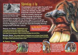 Platybelodon | Weird n' Wild Creatures Wiki | Fandom