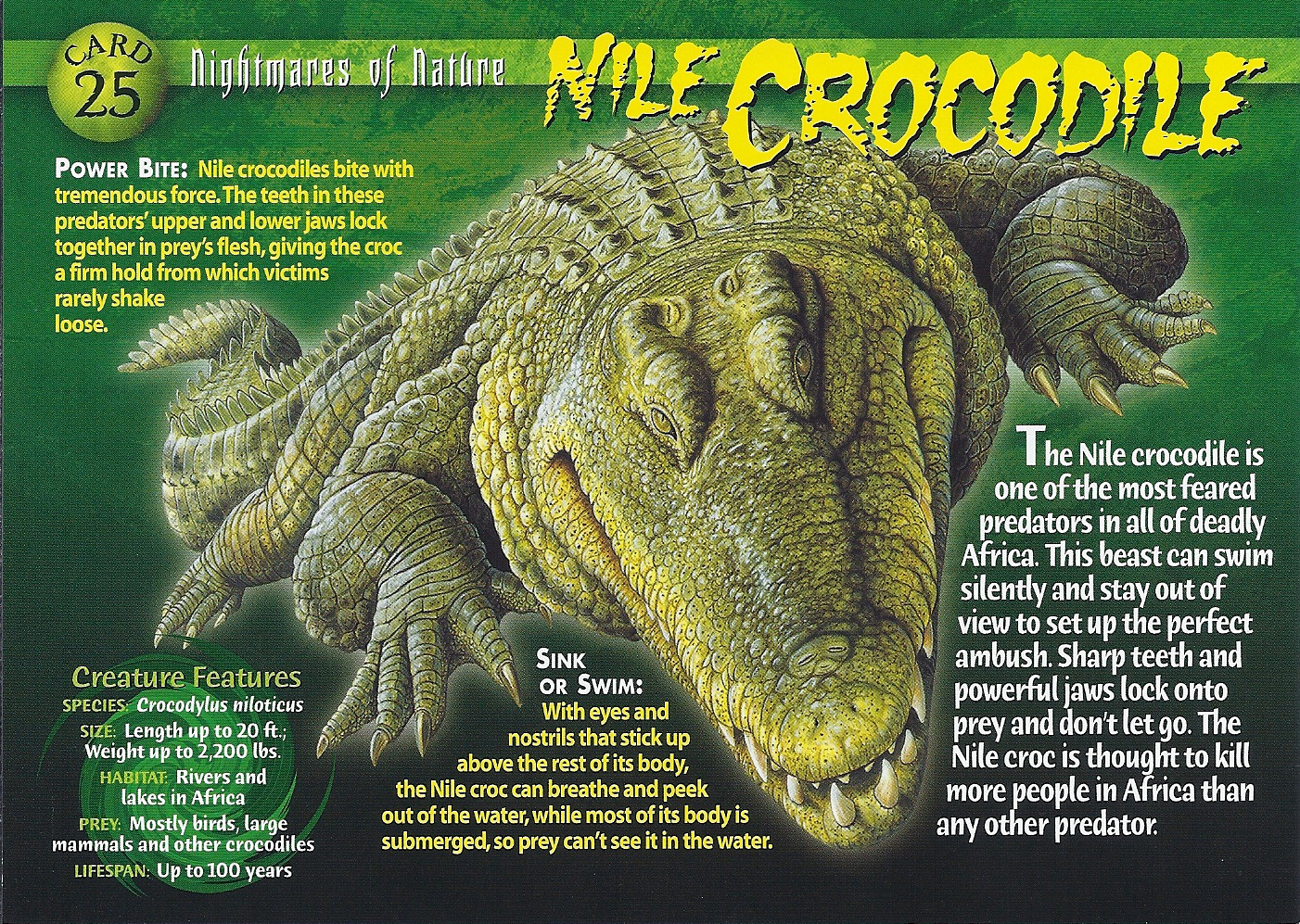 Crocodiles, Nature