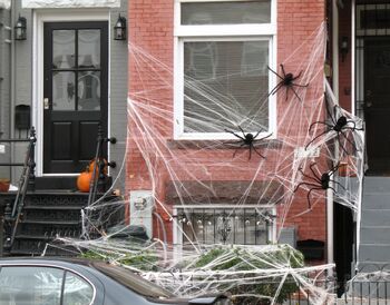 HalloweenSpidersWashington 0388a