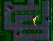 The Wiggles in a bushy maze