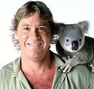Steve and a koala