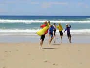 The Wiggles and Captain Feathersword at Manly Beach