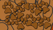 Wags' pawprints transition