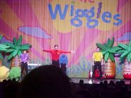 The Wiggles in Wiggly Safari Tour