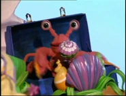 Joey the Crab