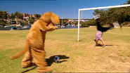 Aido doing a somersault