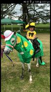 a Girl as Emma a Horse as Dorothy