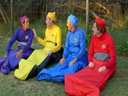 The Wiggles talking about the beach party