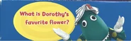 Top (Question: What is Dorothy's favorite flower?)