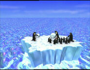 The penguins