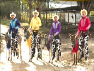 The Wiggles and their donkeys