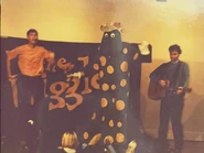 Goldenrod, turquoise