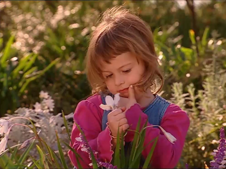 Picking Flowers/Gallery Wigglepedia Fandom