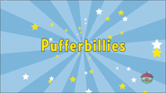 Pufferbillies