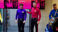 The Professional Wiggles in "The Wiggles' 25th Anniversary concert at the Apple Store"