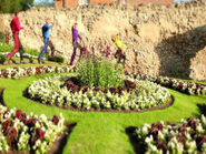 The Wiggles in Guildford Castle