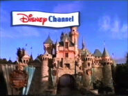 Sleeping Beauty Castle and a Disney Channel logo