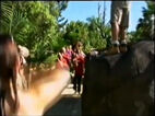 Another Behind-the-Scenes clip of "Australia Zoo"