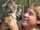 Steve Irwin/Gallery