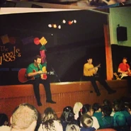 Green, goldenrod, red