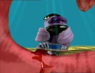 Tom the Purple Trout