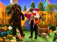 Wags and Captain Feathersword