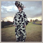 Promo Picture: Clare the Cow