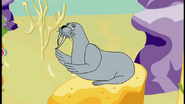 Walrus humming