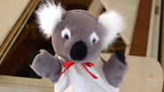 Puppet koala