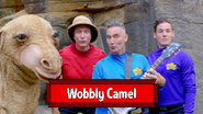 Wobbly Camel