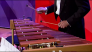 The xylophone