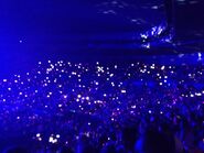 The Audience in the dark