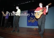 Bright purple, yellow, red