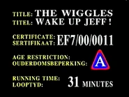 South African classification