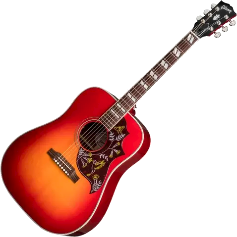 Gibson Hummingbird | Wigglepedia | Fandom