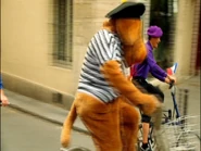 Jeff and Wags riding bikes