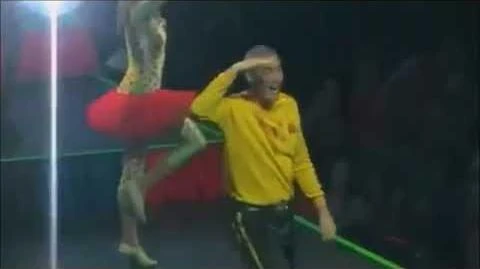 The_Wiggles_Final_Celebration_Show