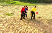 The Wiggles and a volleyball