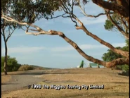 Murray'sShirtendboard.png (646 KB)