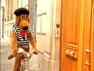 Wags riding bike in Paris, France