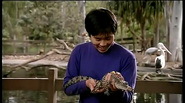 Danny and a freshwater crocodile