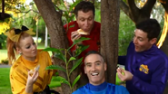 The Wiggles eating peanut butter