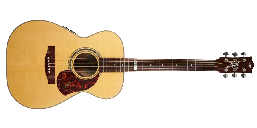 松茸 890g Amazon.co.jp: Matsutake Mushrooms, Elegant Tsubomi, Medium