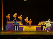 LiveFromTheWigglesBigShow77.jpg