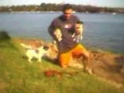 AnthonyFieldandhisDogs