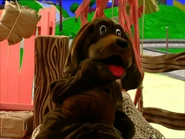 Wags in the epilogue