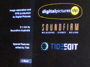 Digital picture logo