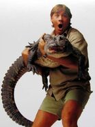 Steve Irwin with croc
