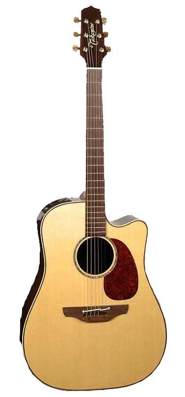 Takamine EAN16C | Wigglepedia | Fandom