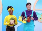 Gardening Tips with Lachy